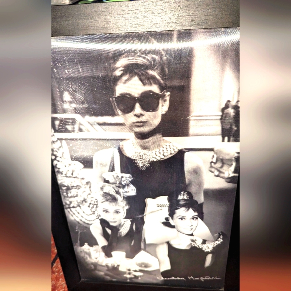 Vintage style 3D Audrey Hepburn wall art ,Nice light frame
